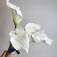 画像278