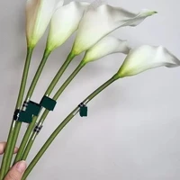 画像279