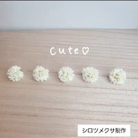 画像330