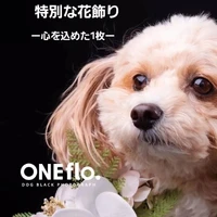 画像400