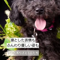 画像401