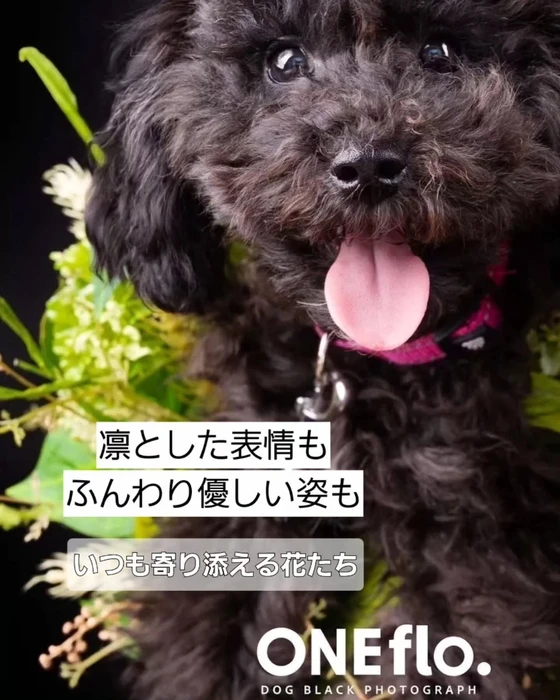 画像401
