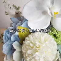 画像406