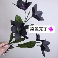 画像434