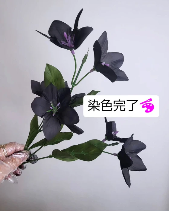 画像434
