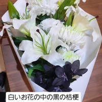 画像436