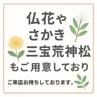 画像452