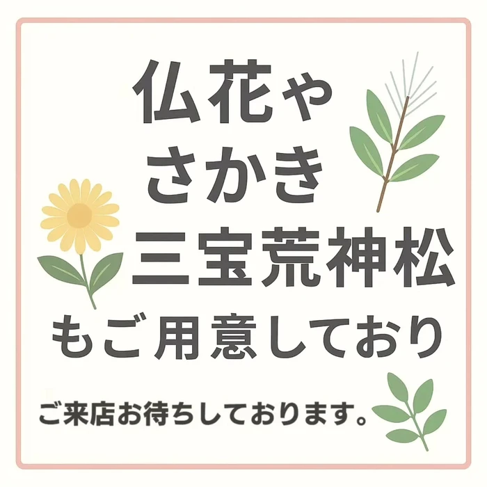 画像452