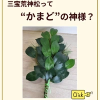 画像454