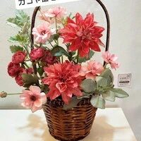 画像470
