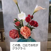 画像486