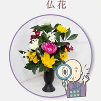画像492