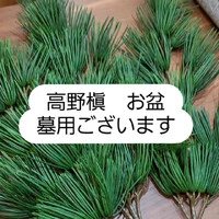 画像494