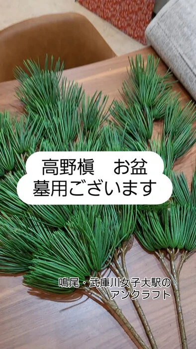 画像494