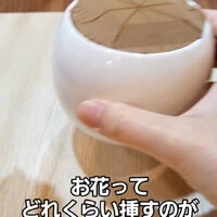 画像518