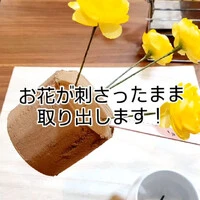 画像531