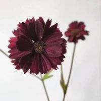 画像594