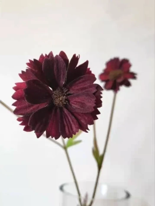 画像594