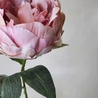 画像598