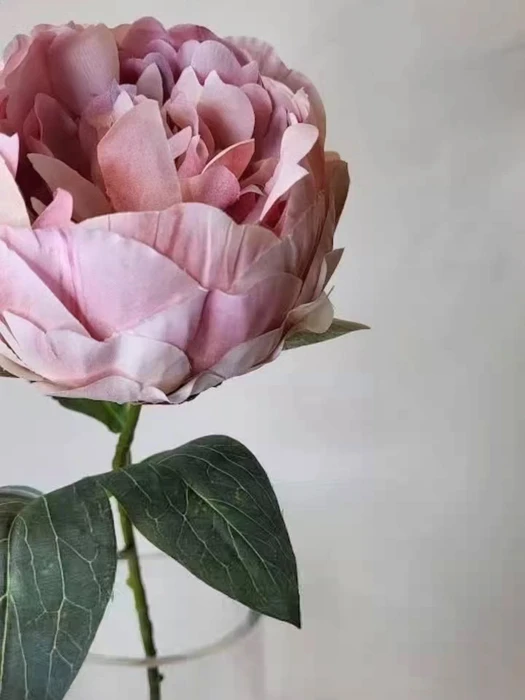 画像598