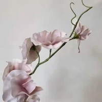 画像600