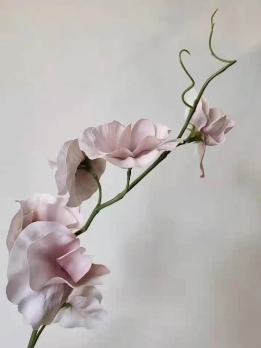 画像600