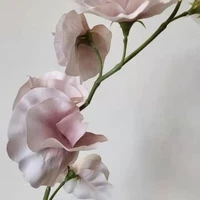 画像601
