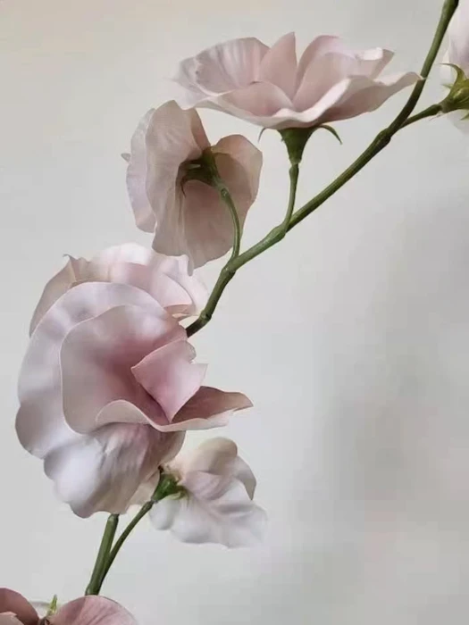 画像601