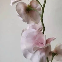 画像602