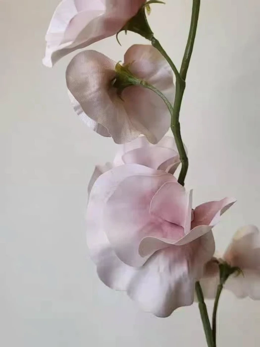 画像602