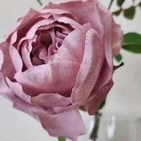 画像604