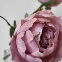 画像605