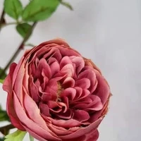画像611