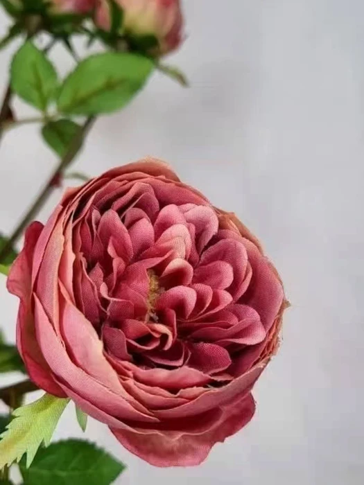 画像611