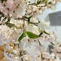 画像620