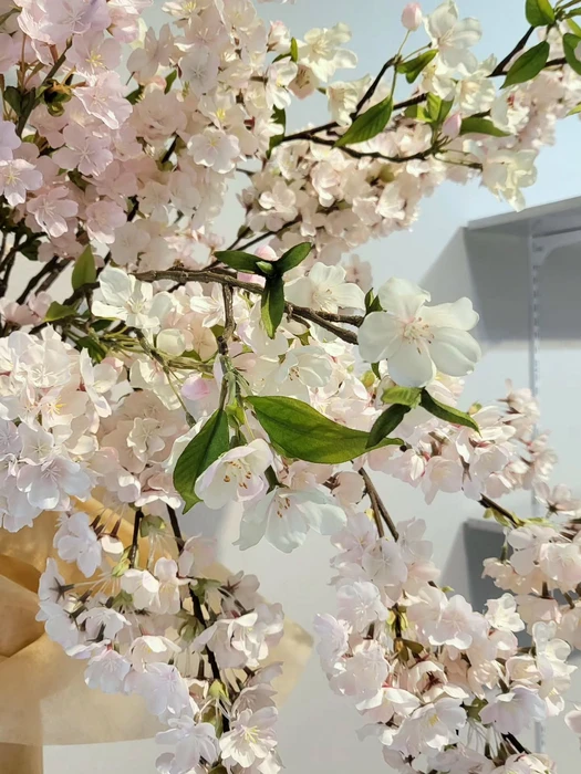 画像620
