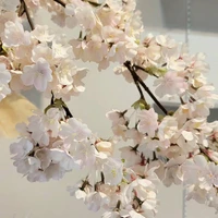 画像621