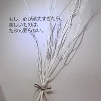 画像639