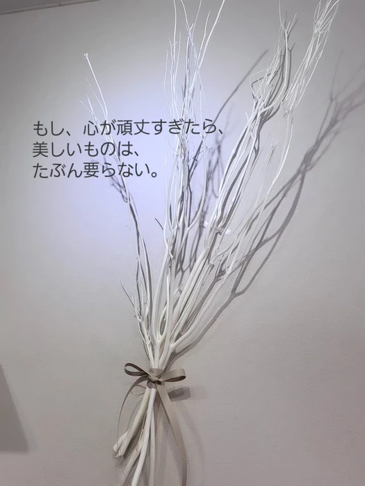 画像639