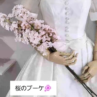 画像811