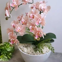 画像852