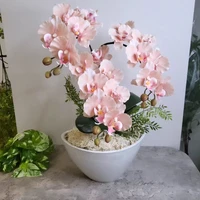 画像853
