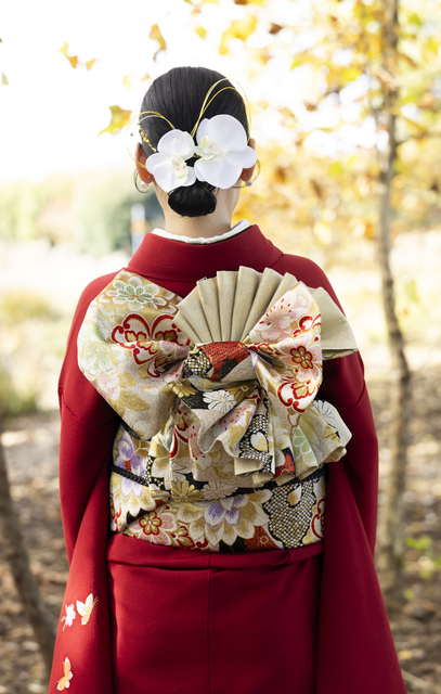 胡蝶蘭