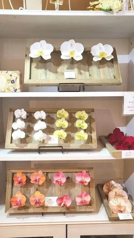 髪飾り　西宮