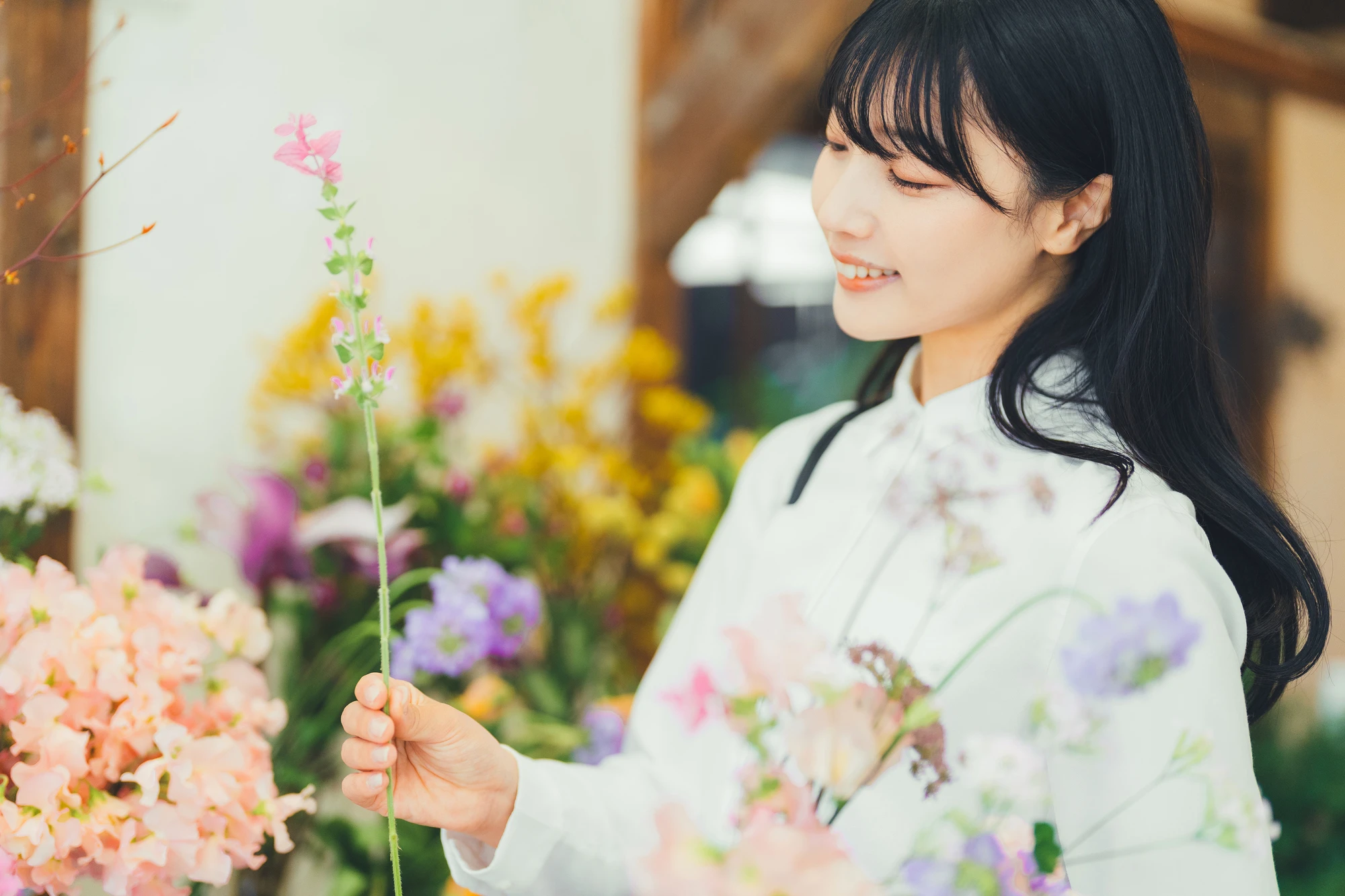 造花　西宮　どこで買う